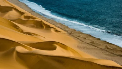 A breathtaking coastal desert landscape showcasing golden sand dunes meeting a deep blue ocean, perfect for Middle East road trips 2024. The image highlights the stark beauty of where desert meets sea, offering a glimpse of the diverse terrains explorers might encounter.